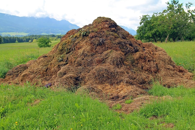 Composting Stations